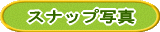 Xibvʐ^